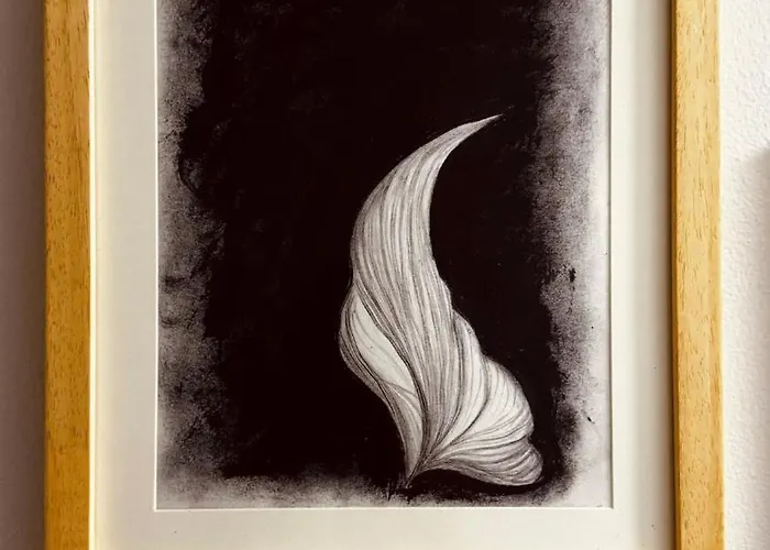 Bllok B Apartament Tirana